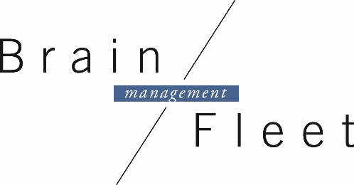 Logo brainfleet